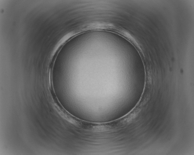 X0000078291227200611101100