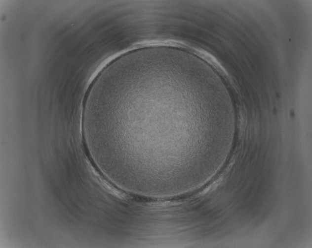 X0000078291228200611101100