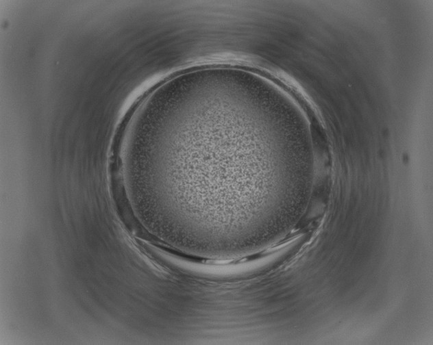 X0000078291230200611101100