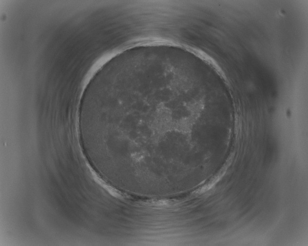 X0000078291231200611101100