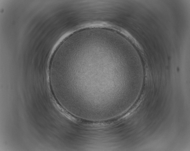 X0000078291232200611101100