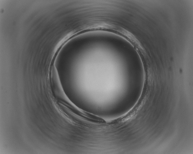 X0000078291234200611101100