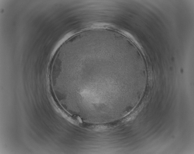 X0000078291235200611101100