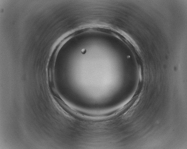 X0000078291238200611101100