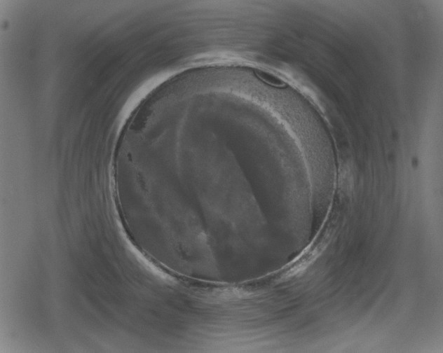 X0000078291239200611101100