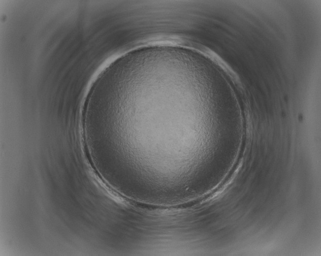 X0000078291240200611101100