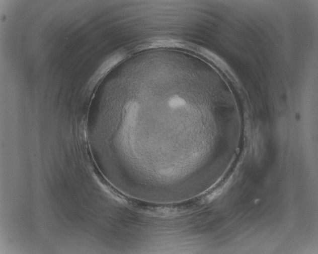 X0000078291241200611101100