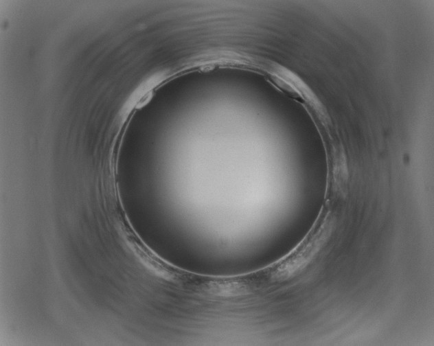 X0000078291242200611101100