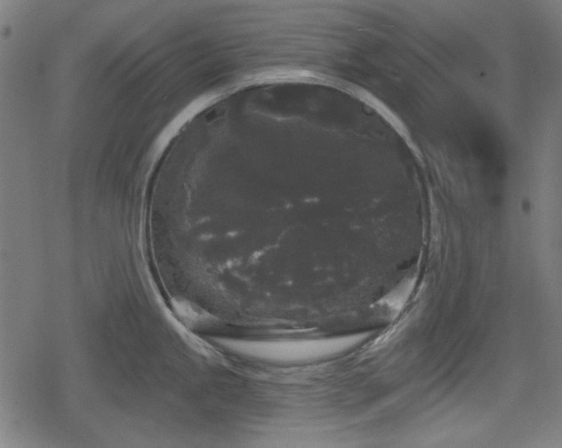 X0000078291245200611101100