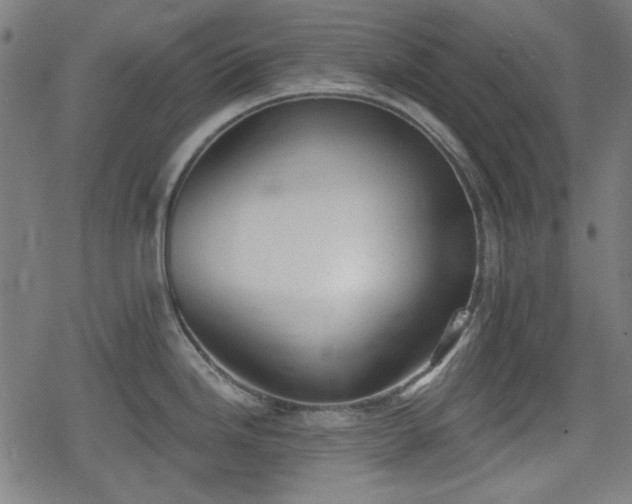 X0000078291246200611101100