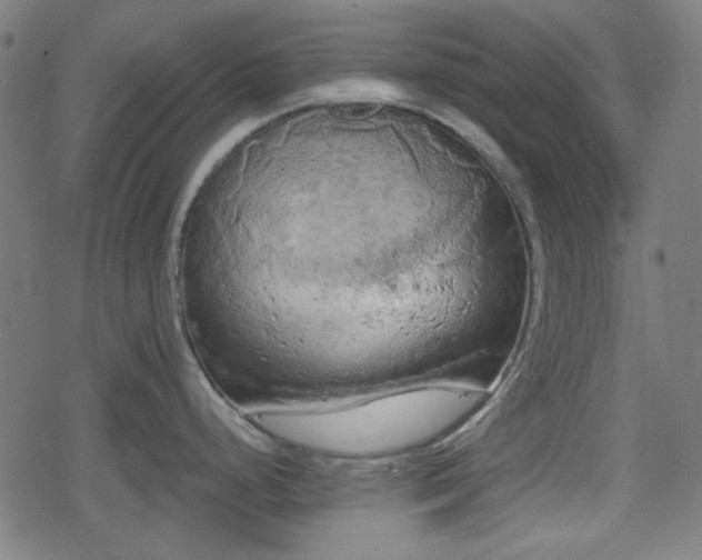 X0000078291248200611101100