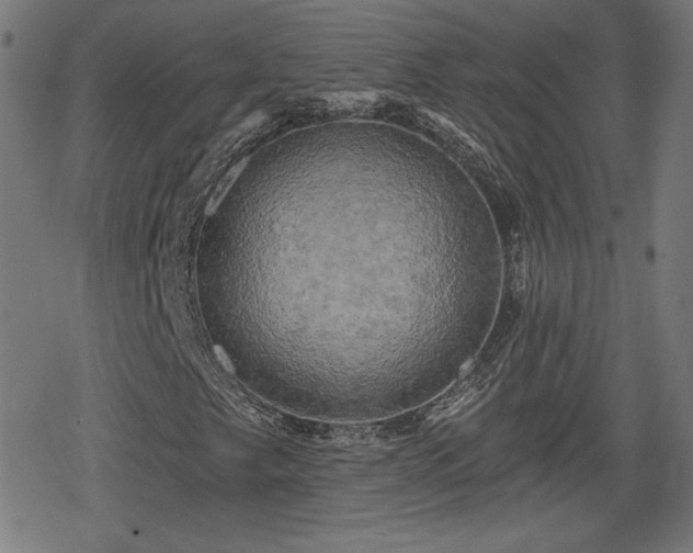 X0000078291249200611101059