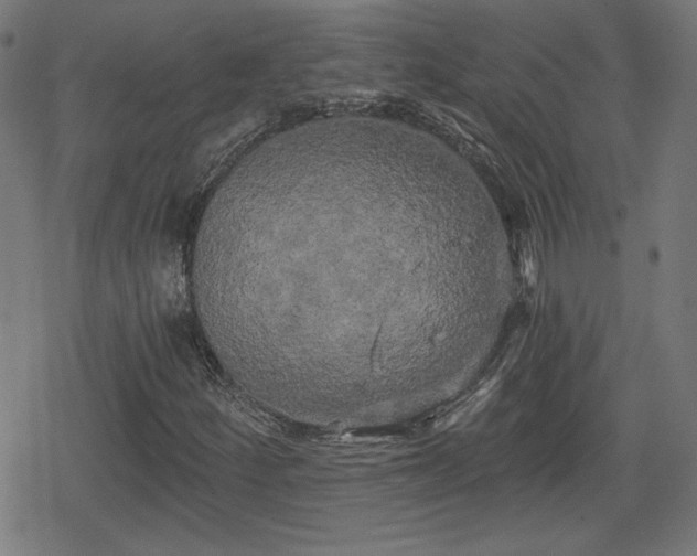 X0000078291252200611101059