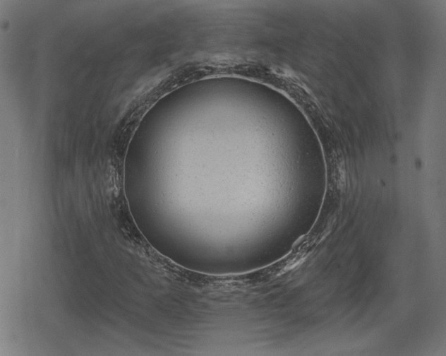 X0000078291253200611101059