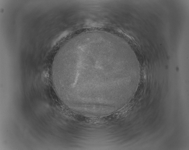 X0000078291254200611101059