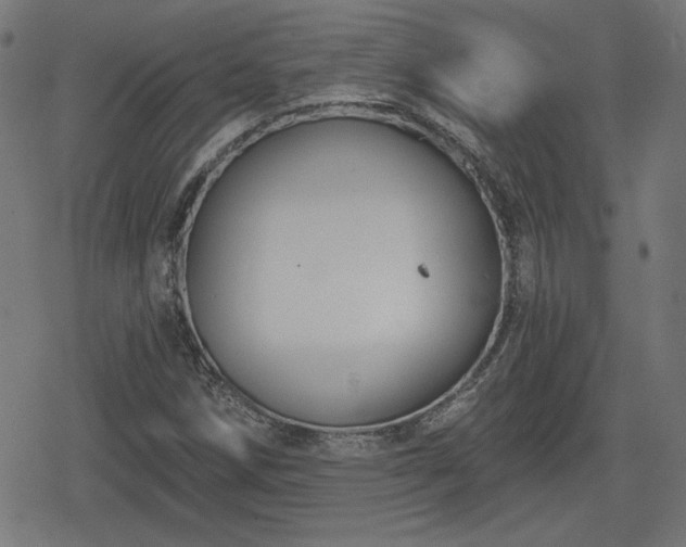 X0000078291258200611101059