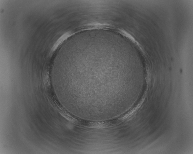 X0000078291259200611101059