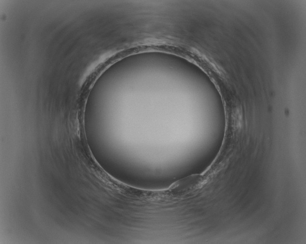 X0000078291262200611101059