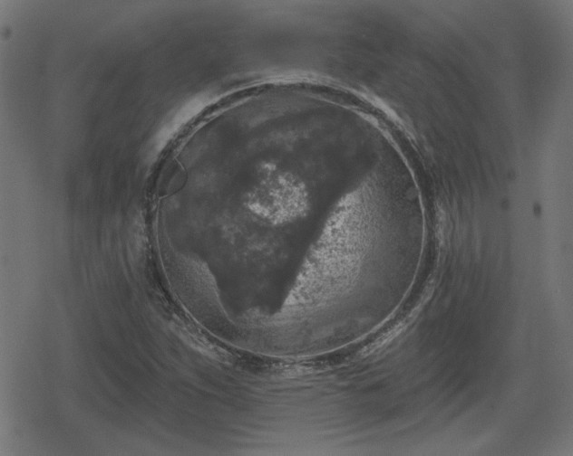 X0000078291263200611101059