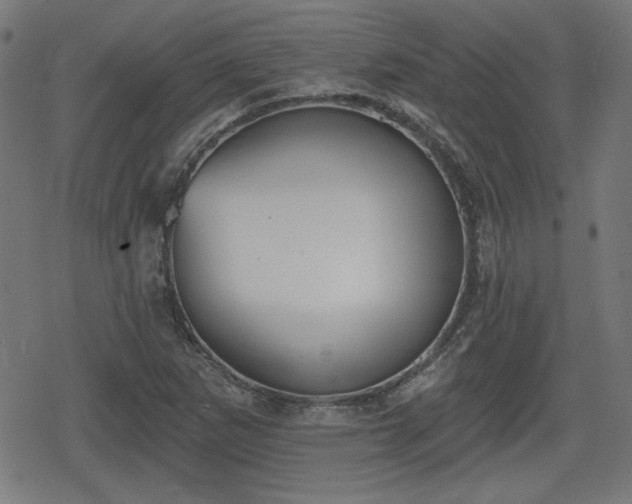 X0000078291265200611101059