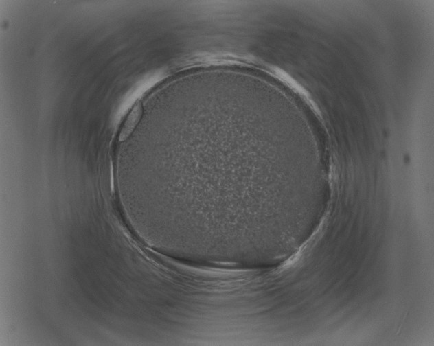 X0000078291269200611101059