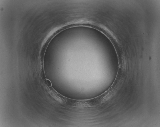 X0000078291270200611101059