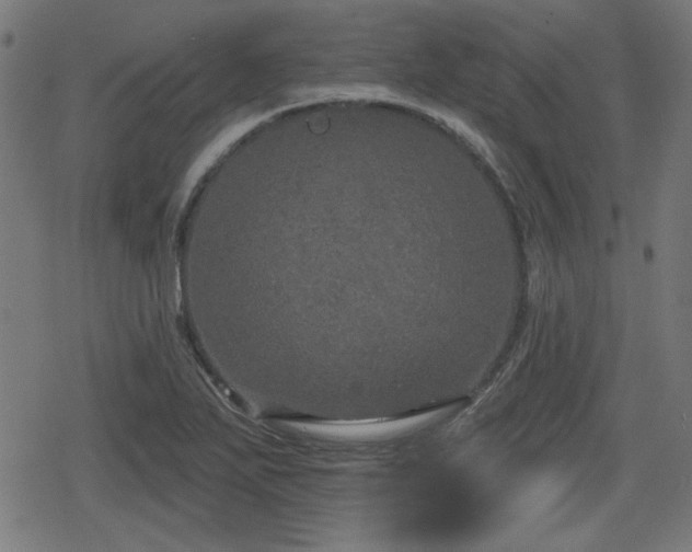 X0000078291271200611101059