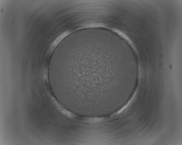 X0000078291273200611101059