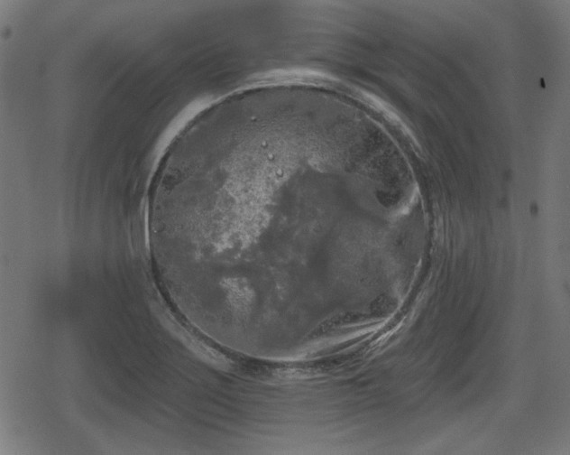 X0000078291275200611101059