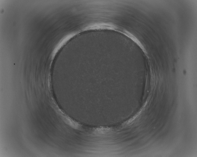 X0000078291277200611101059