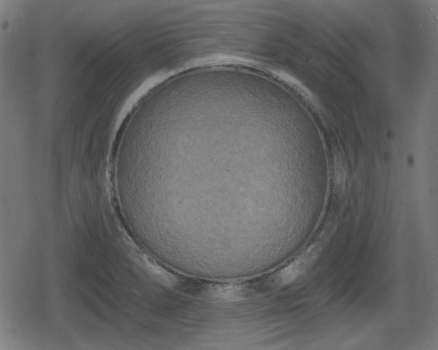 X0000078291278200611101059