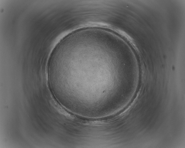 X0000078291280200611101059