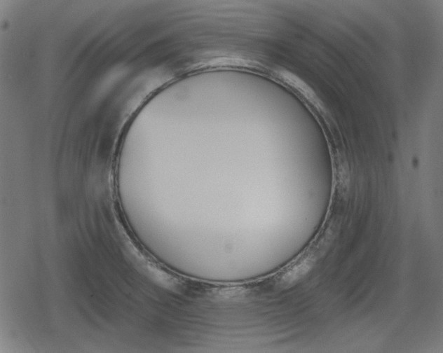 X0000078291282200611101059