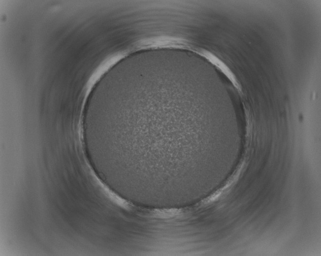 X0000078291285200611101059