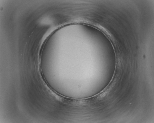 X0000078291286200611101059