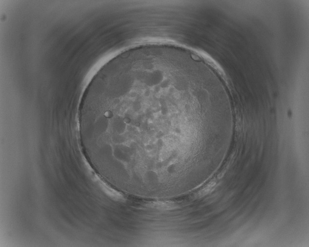 X0000078291287200611101059