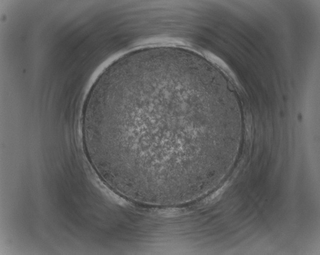 X0000078291288200611101059