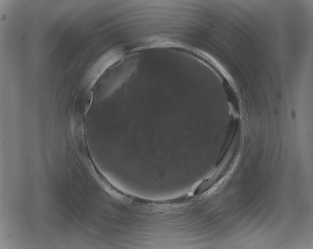 X0000078291289200611101059