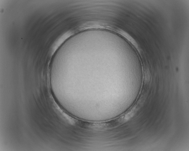 X0000078291290200611101059