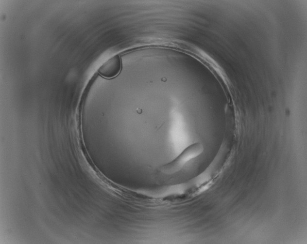 X0000078291291200611101059