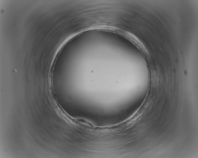 X0000078291292200611101059