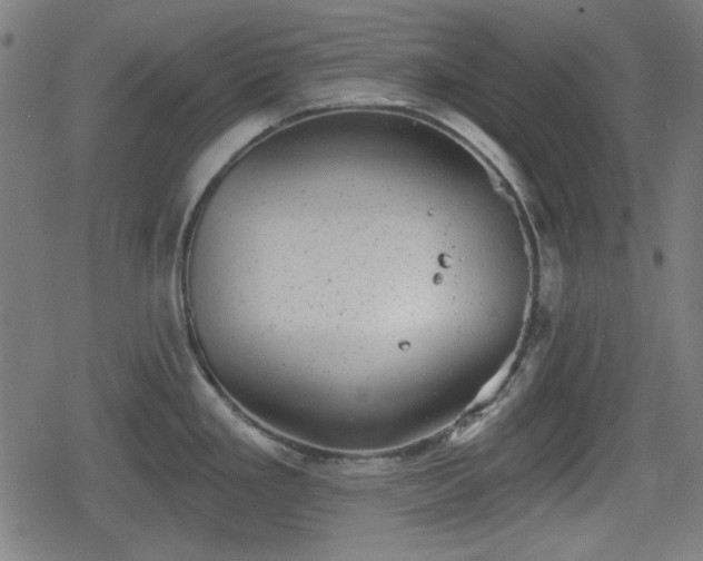 X0000078291293200611101059