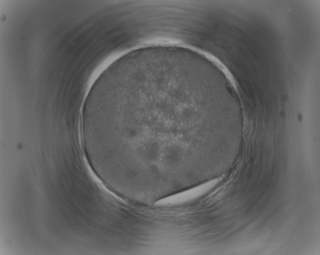 X0000078291295200611101059