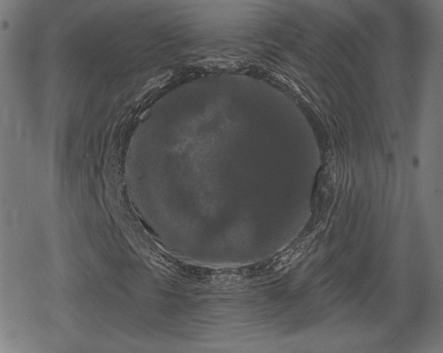 X0000078291297200611101058