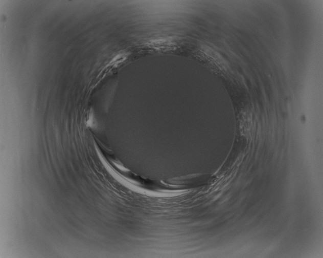 X0000078291298200611101058