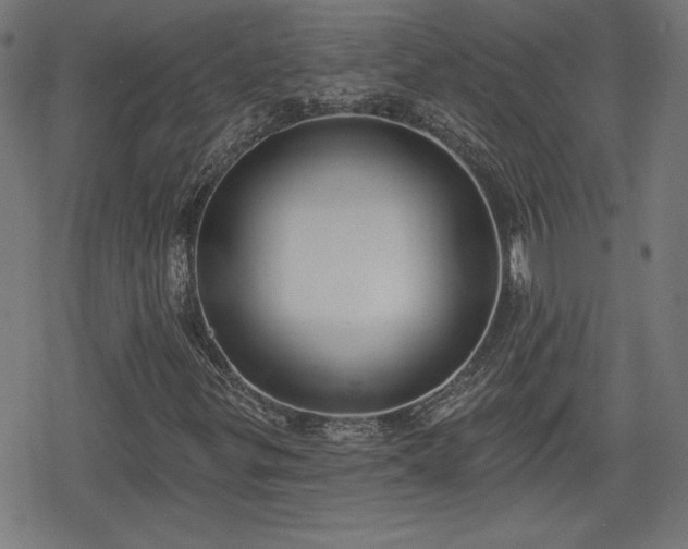 X0000078291299200611101058