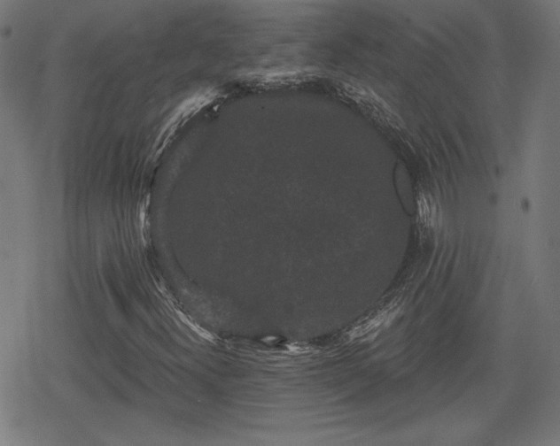 X0000078291300200611101058