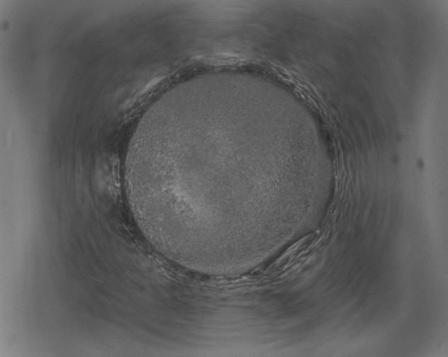 X0000078291301200611101058