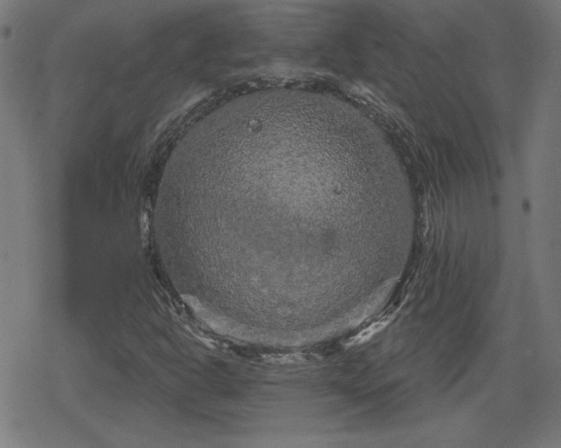 X0000078291302200611101058