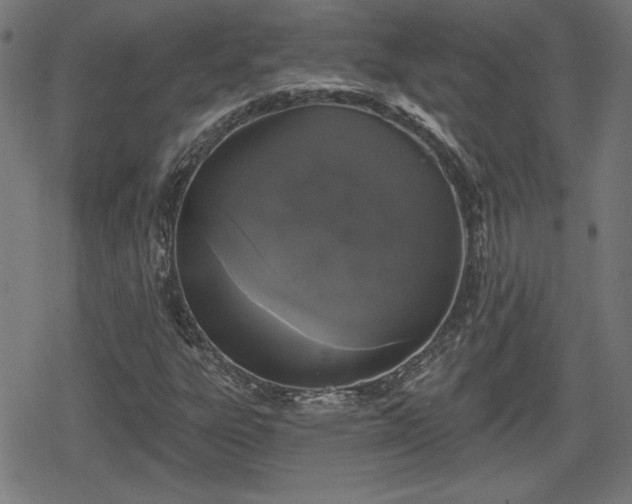 X0000078291303200611101058